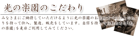 光の楽園のこだわり